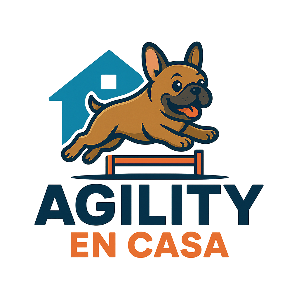 Agility En Casa