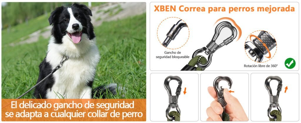 correa adiestramiento