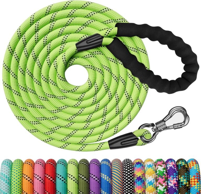 correa adiestramiento